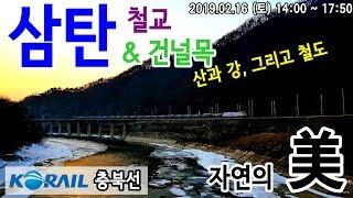 충북선 삼탄철교, 건널목 열차영상 (2019.02.16)