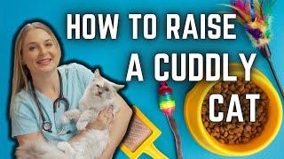 How to Raise a Cuddly Cat!? | Dr. Lindsay Butzer's methods!