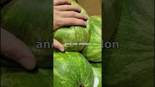 Watermelon without the melon