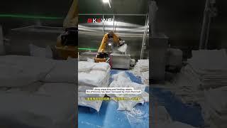 Chinese industrial robot manufacturers #machine #automachine #robot #industrialrobot #machine