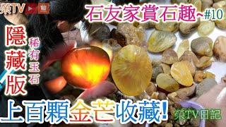 #隱藏版上百顆的金芒玉髓極品虎斑玉#台灣玉石加工成品#鯨魚骨化石#金芒玉髓#虎斑玉#彩斑玉#發現化石#西海岸撿玉石#台灣玉石​#玉石​#花東玉石​​#石友家賞石趣第十集