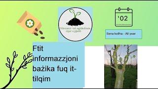 Ftit informazzjoni bażika fuq it-tilqim