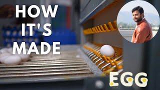 Factory में अंडा बनते देखिए !! You will be surprised !! How It's Made : Egg !!