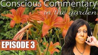 How To Find the Oracle in Your Own Backyard! - Conscious Commentary in the Garden (EPISODE 3)