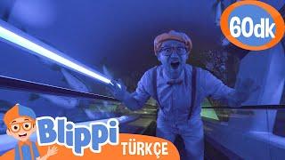 Blippi Bir Akvaryumu Ziyaret Ediyor  | Blippi Türkçe - Çocuklar için Eğitici Videolar