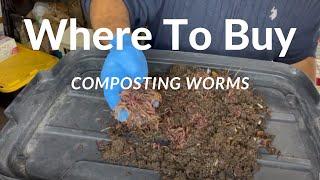 Where To Buy Compost Worms #compostingworms #wormcomposting