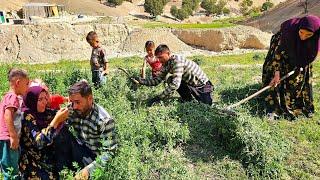 "The Journey of Grass: Picking and Carrying Grass on the Roof of a House by a Nomadic Mother"