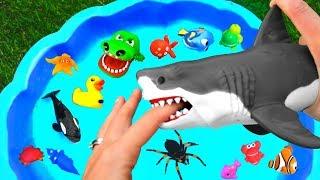 Animals for Kids - Learn Sea Animal, Farm Animal and Wild Animal Names