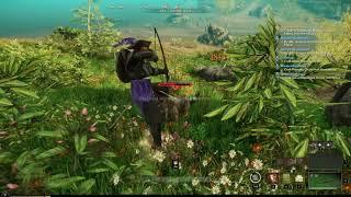 New World Gameplay