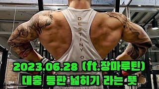 2023.06.28 대충 등판넓히기 라는 뜻 !! (ft.장마루틴) #이유담 #등운동 #등운동루틴 #등넓히기 #랫풀다운 #티바로우 #원암로우
