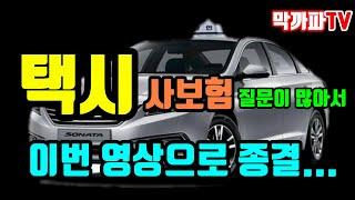 택시 사보험 종결 영상 -막까파TV-