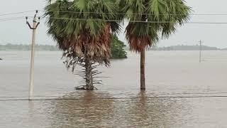 Eturnagaram #Godavari Bridge Floods | #Muthyam Dhara Water Falls | #Bogatha Water Falls