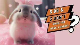 MASTERBUN Rabbit 3 do's and 3 don't