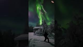 Northern Light Location Ranua Finland View my friends captures :-@jarcce#aurora