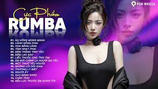 NHẠC TRẺ RUMBA HOT TIKTOK 2024  LK Rumba Chọn Lọc Không Quảng Cáo  Album Rumba 8x9x Hay Nhất