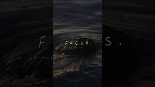 Focus Insights #piano