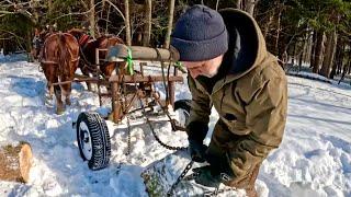 How I Deal with all this SNOW! // Getting Back in Shape for HORSE LOGGING #790