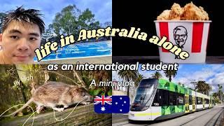 Life ALONE in Australia as an INTERNATIONAL STUDENT 