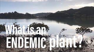 PLANTOPEDIA - Endemic