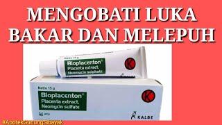 OBAT LUKA TERSIRAM AIR PANAS, OBAT LUKA BAKAR, LUKA TERINFEKSI DAPAT DIATASI DENGAN BIOPLACENTON