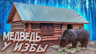 Это случилось! | Медведь у избы | Готовимся к зиме