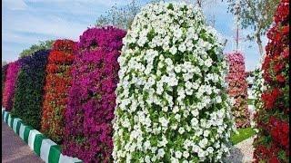 How to make Flower Tower Garden