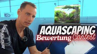 So wird ein Aquascaping Contest Aquarium von der Jury bewertet