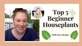 5 Easy Houseplants for Beginners | Collab with Tory Stender