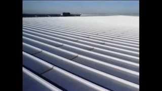 Butler MR-24® Roof System (www.butlermfg.com)