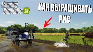 FARMING SIMULATOR 25. НОВАЯ КУЛЬТУРА РИС. КАК ВЫРАЩИВАТЬ РИС!?