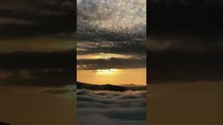 Sunrise Above the Clouds #shorts #sunrise #beautiful #tranquility #lostranquility