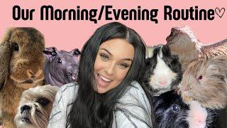 Our Morning And Evening Routine!! (Too much cuteness)