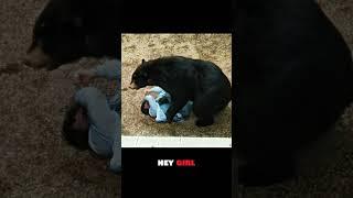 Hilarious Bear Attack #movie #funnyclip #hilarious #foryou  #hilariouscomedyscenes