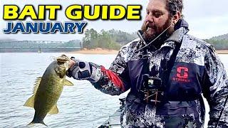 COLD WATER BASS Are Easier to Catch Than You Think!