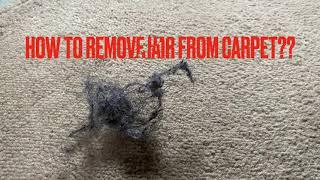 How to remove hair from carpet by Dream + Dream Adventure