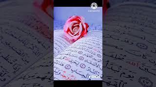 الْمُلْكُ يَوْمَئِذٍ الْحَقُّ لِلرَّحْمَٰنِ ۚ وَكَانَ يَوْمًا عَلَى الْكَافِرِينَ عَسِيرًا (26) ️