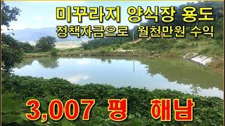 해남 임야와 답  3,007평, 기존 양식장 하다 그만둔 땅, 도로/전기 땅안에, 염소 등의 가축사육도 가능. 양식장 가능