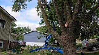 #142 Cutting Firewood with Genie 50/30 Boom Lift