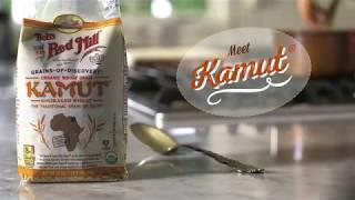 Introduction to Kamut