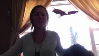 Mind Design written and performed by Kat Kyotec