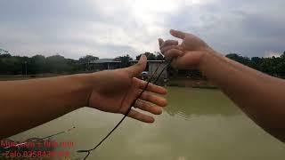 Fishing | Câu Đài | Tập 156 | Câu Cá Trôi Và Rô Phi | Nghiện Câu TV