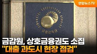 금감원, 상호금융권도 소집…"대출 과도시 현장 점검" / 연합뉴스TV (YonhapnewsTV)