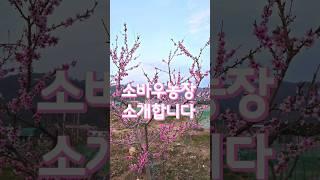 소바우농장을 소개합니다
