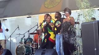 One Village Alliance Presents the Bob Marley Peoples Festival