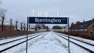 Tog i Bjerringbro Feat. @Danish_Trainspotting  | 05/01 25