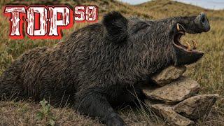 50 Shots in 5 Minutes | Wild Boar Hunting Ep 9
