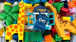 Marble Run Block Course  Play in the world of dinosaurs and animals!