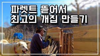 파렛트로 따듯한 대형견 개집만들기 DIY 한파에도 끄덕없는 럭셔리 강아지집 / Building a large dog kennel with pallets