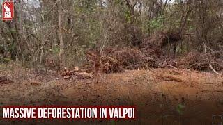 MASSIVE DEFORESTATION IN VALPOI