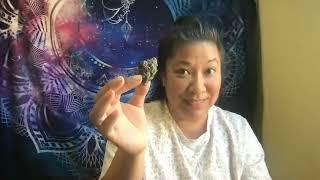 LIVE // How to Become a Certified Cannabis Educator with CCI & Save $300 with my Code MICHELLE